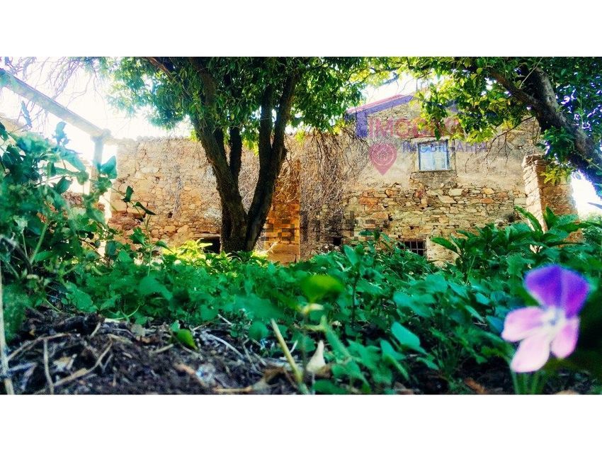 Moradia T3 à venda em Campelo, Figueiró dos Vinhos — foto 4