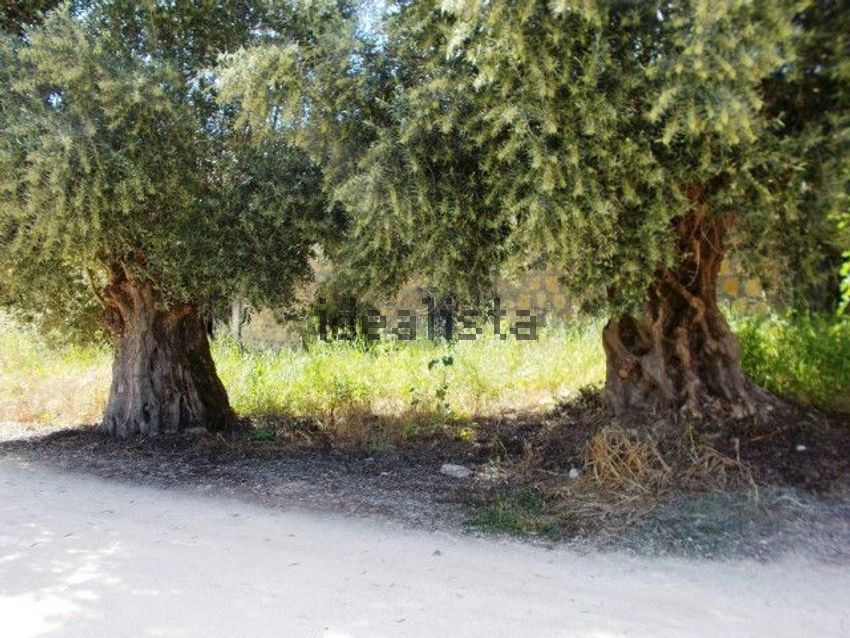 Moradia T0 à venda em Achete, Azoia de Baixo e Póvoa de Santarém, Santarém — foto 21