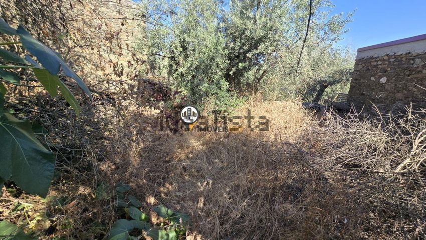 Moradia T1 à venda em Benquerenças, Castelo Branco — foto 11