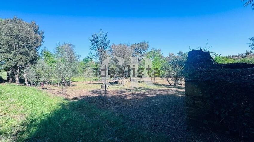 Moradia T1 à venda em Vila Facaia, Pedrógão Grande — foto 3