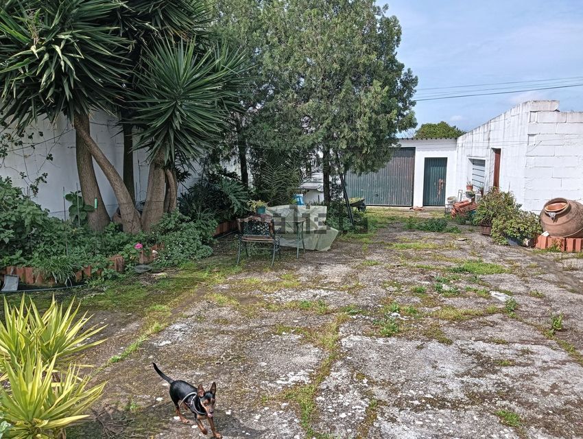 Moradia T3 à venda em Chamusca e Pinheiro Grande, Chamusca — foto 5