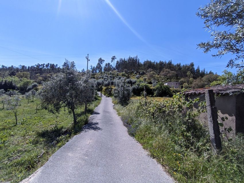 Moradia T0 à venda em Aldeia do Mato e Souto, Abrantes — foto 6