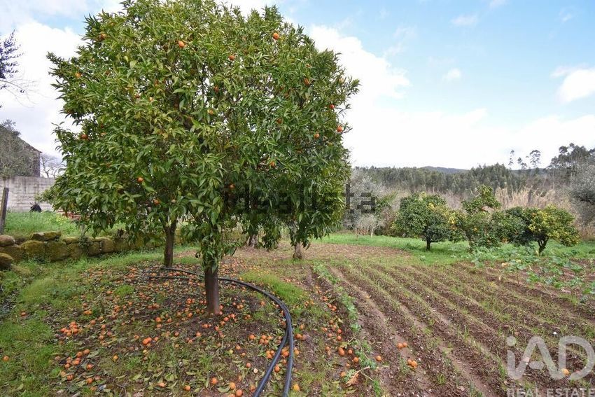 Moradia T3 à venda em Cumeeira, Penela — foto 23