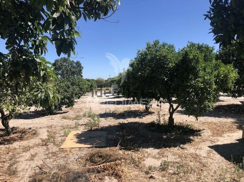 Moradia T6+ à venda em Grândola e Santa Margarida da Serra, Grândola — foto 6