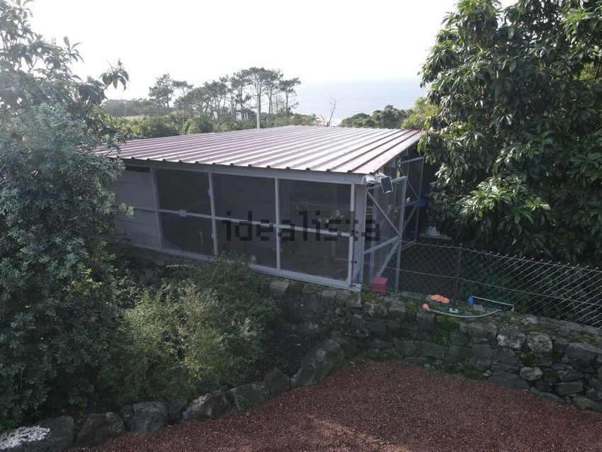 Moradia T2 à venda em Candelária, Madalena — foto 28