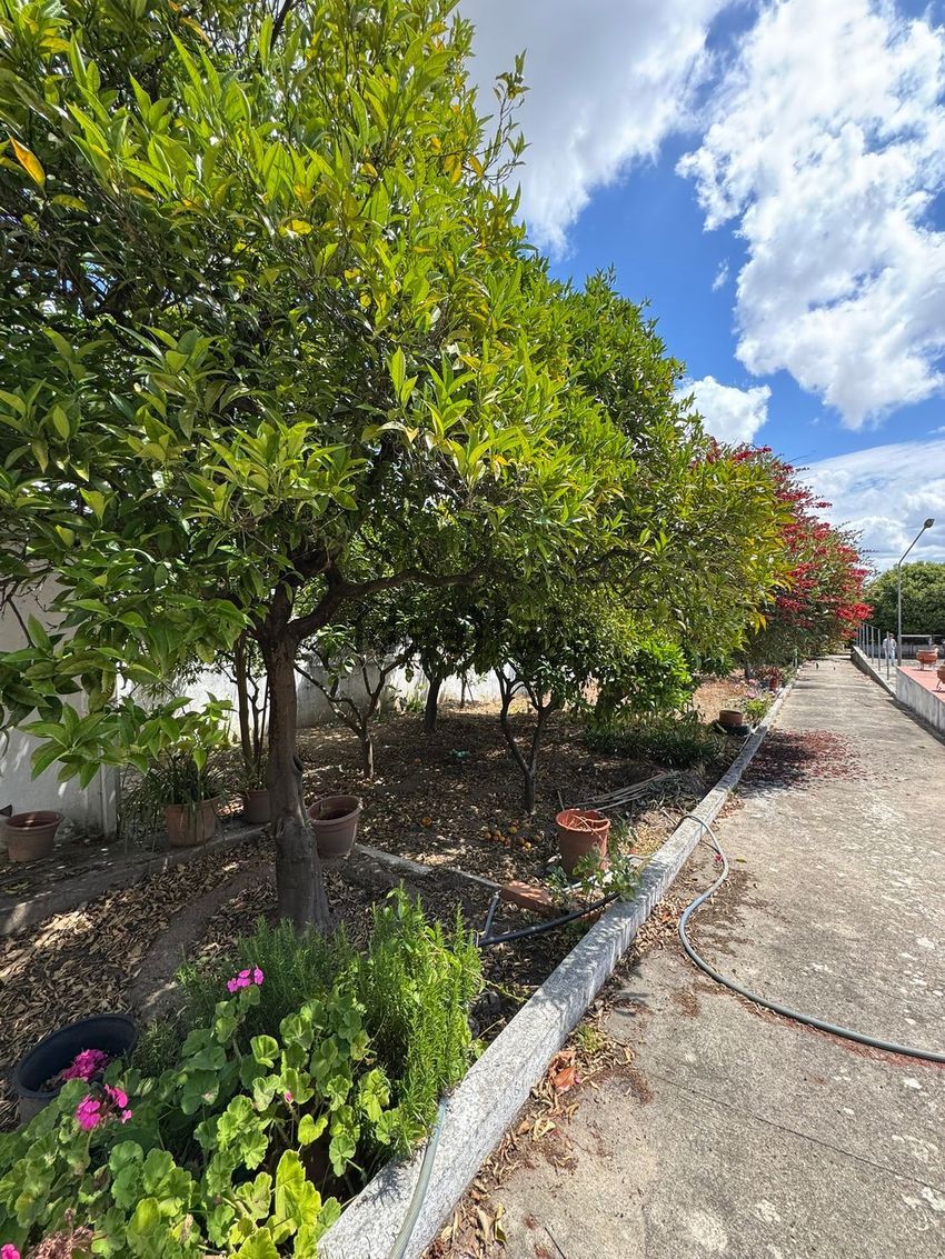 Moradia T6+ à venda em União de Freguesias da Cidade de Santarém, Santarém — foto 34