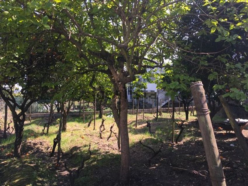 Moradia T3 à venda em Vale de Mendiz, Casal de Loivos e Vilarinho de Cotas, Alijó — foto 37