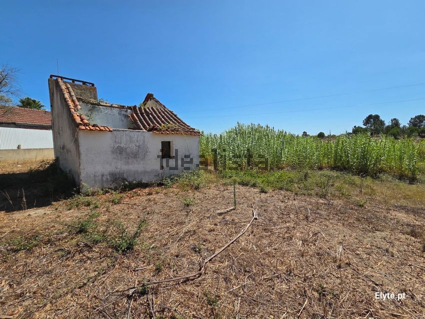 Moradia T2 à venda em Branca, Coruche — foto 5