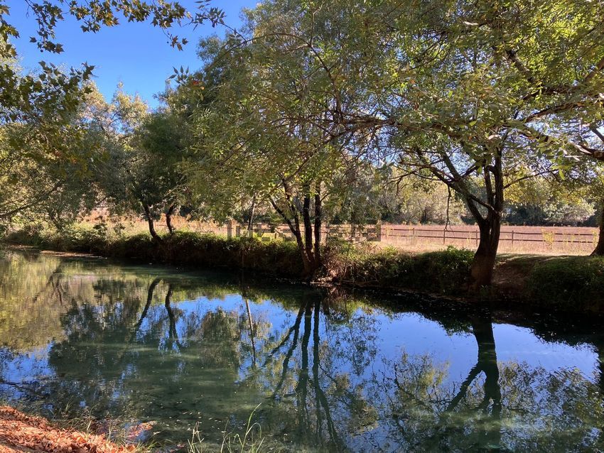 Moradia T2 à venda em Arneiro das Milhariças, Santarém — foto 38