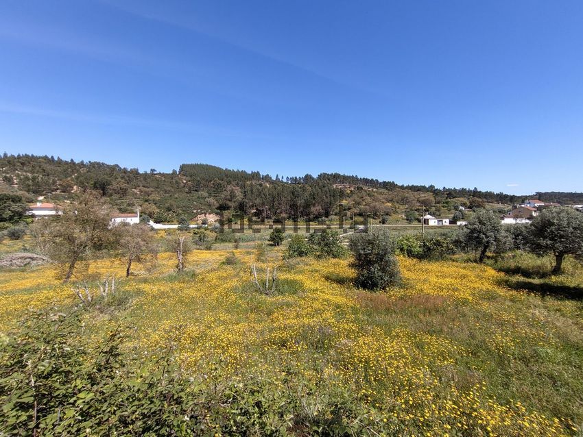 Moradia T0 à venda em Aldeia do Mato e Souto, Abrantes — foto 4