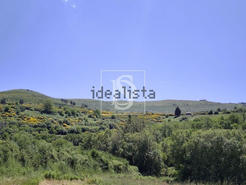 Moradia T4 à venda em Linhares, Celorico da Beira — foto 34