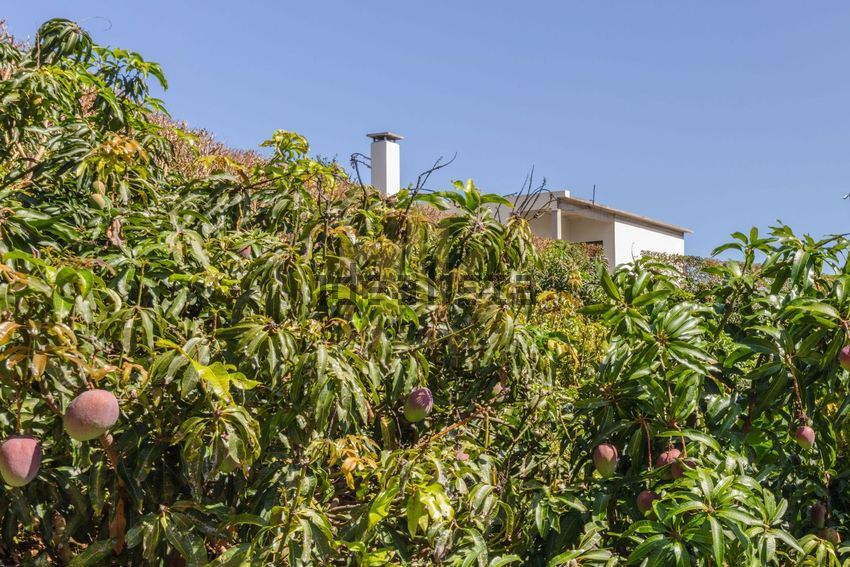 Moradia T5 à venda em Faial, Santana — foto 18
