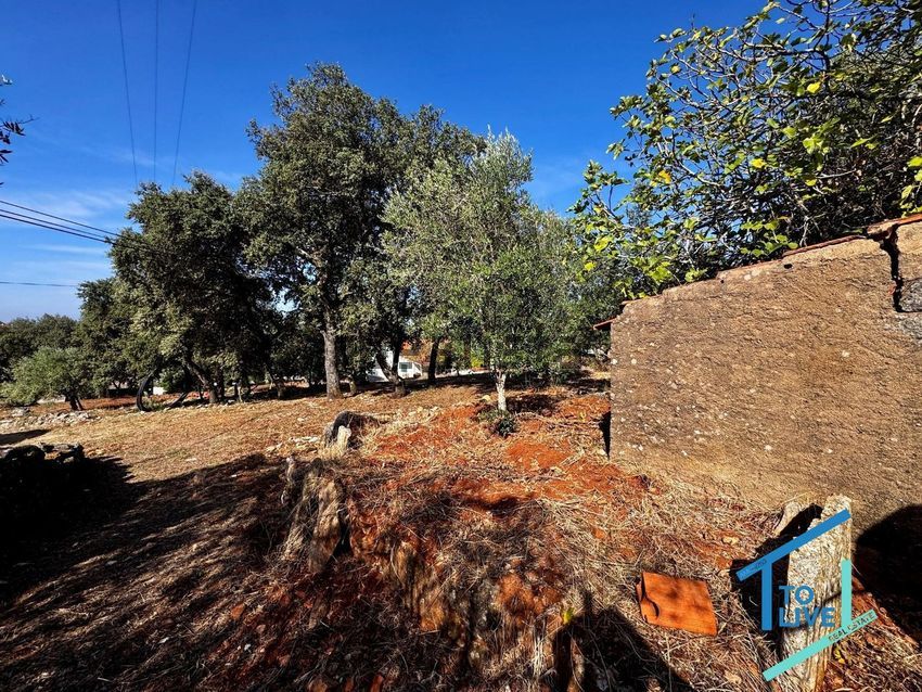 Moradia T5 à venda em Além da Ribeira e Pedreira, Tomar — foto 28