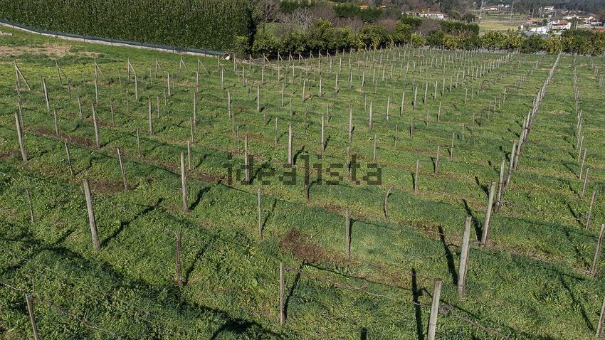 Moradia T4 à venda em Cruz, Vila Nova de Famalicão — foto 22