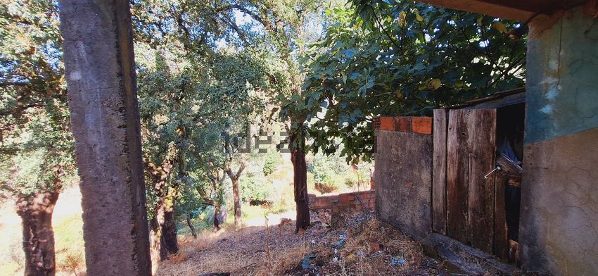 Moradia T2 à venda em Campelo, Figueiró dos Vinhos — foto 10