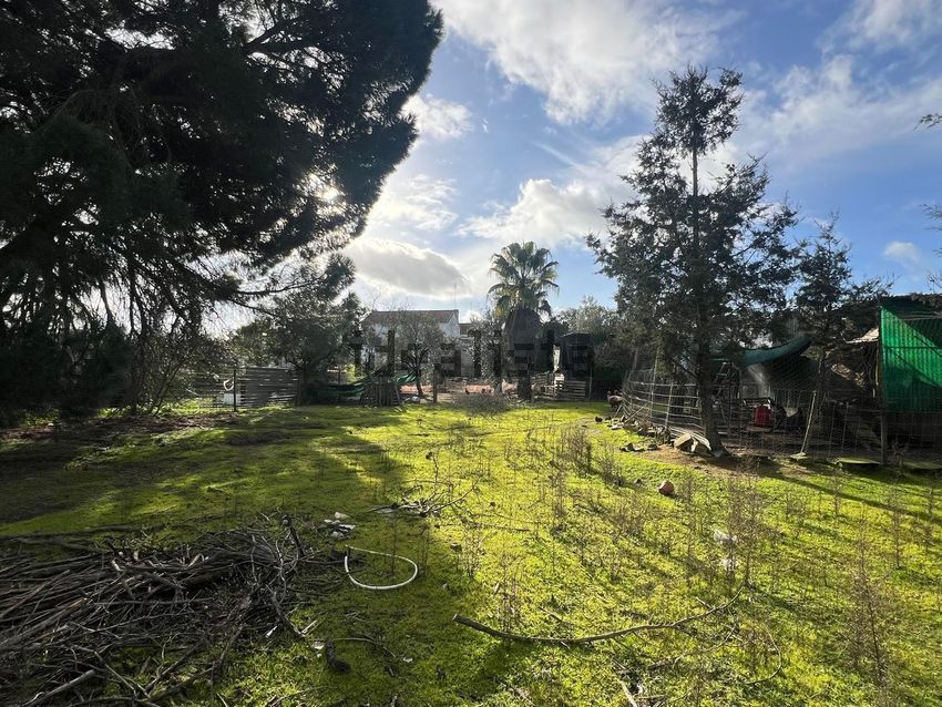 Moradia T3 à venda em Montargil, Ponte de Sor — foto 22