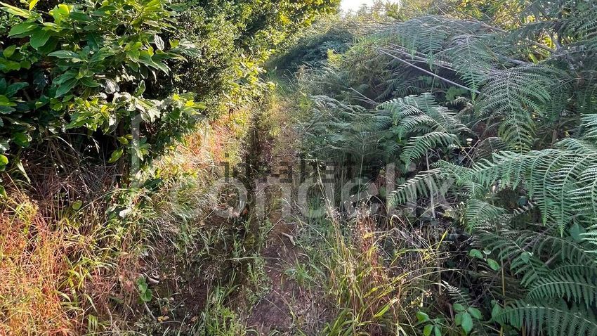 Moradia T2 à venda em Prazeres, Calheta — foto 28