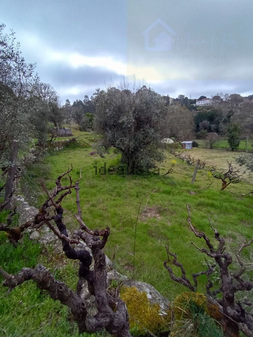 Moradia T2 à venda em Quintela de Azurara, Mangualde — foto 39