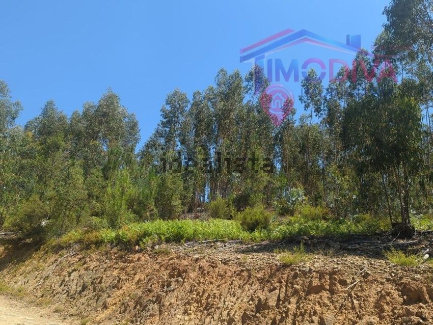 Moradia T1 à venda em Vila Facaia, Pedrógão Grande — foto 15