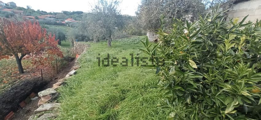 Moradia T1 à venda em Aranhas, Penamacor — foto 8