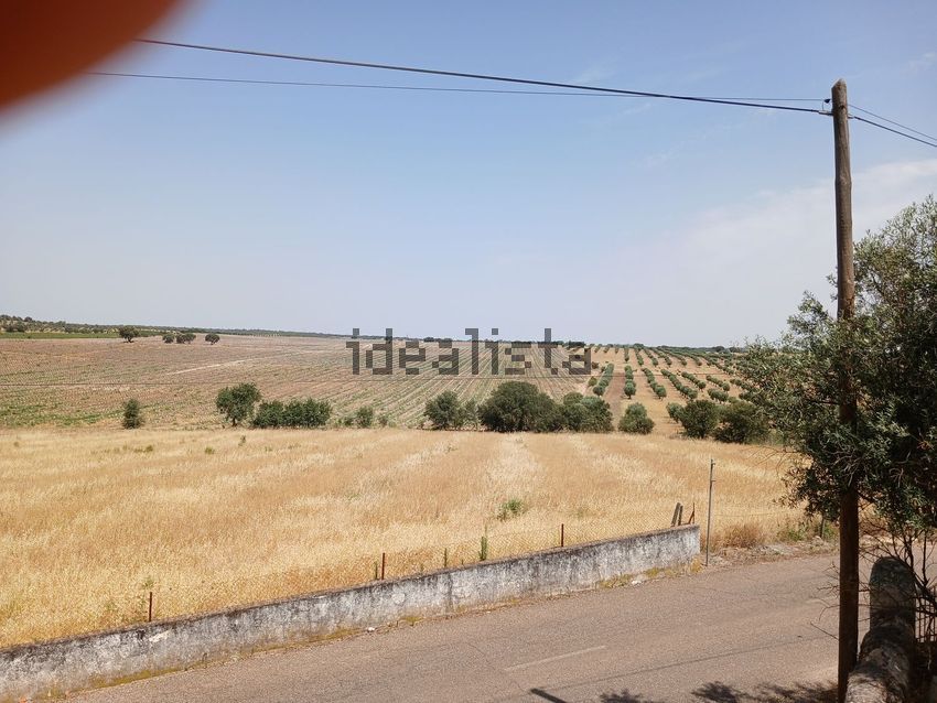 Moradia T4 à venda em Figueira e Barros, Avis — foto 32