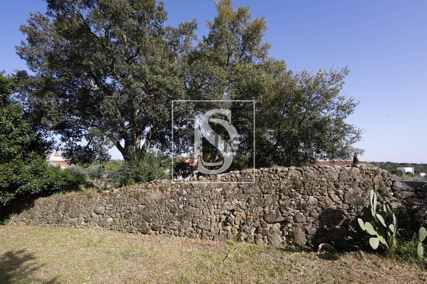 Moradia T2 à venda em Alagoa, Portalegre — foto 7
