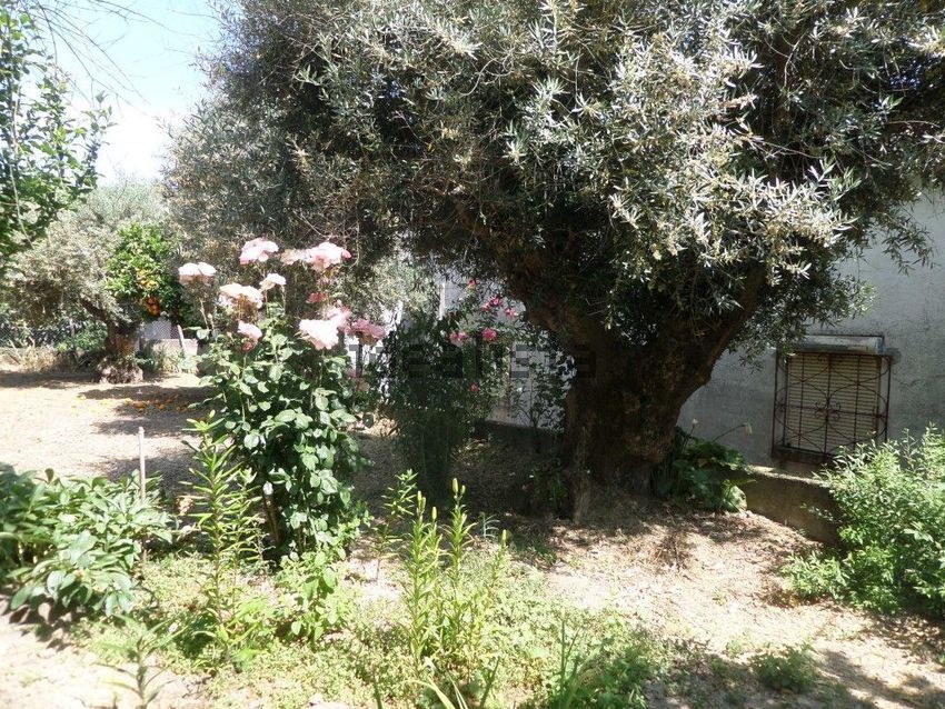 Moradia T3 à venda em Telhado, Fundão — foto 20