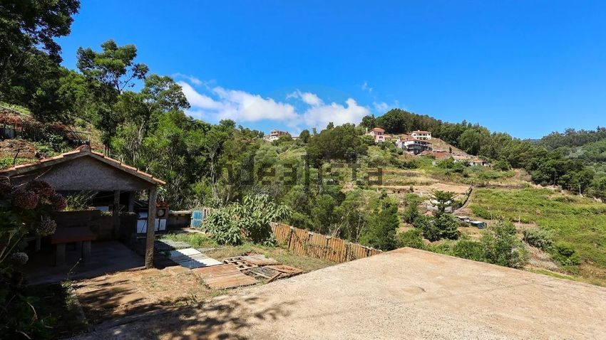 Moradia T6+ à venda em Camacha, Santa Cruz — foto 30