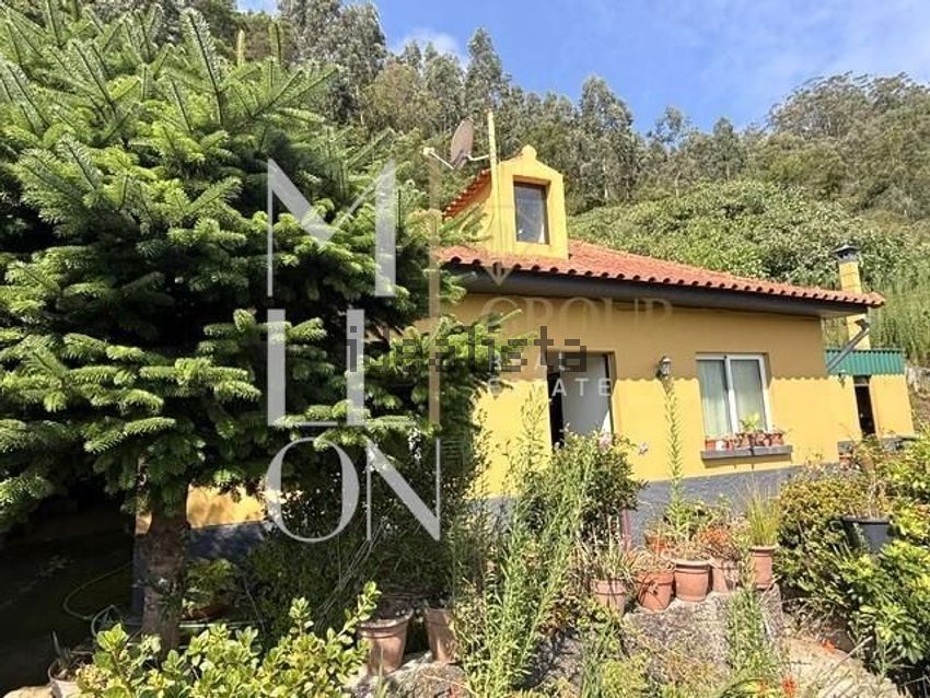 Moradia T2 à venda em Santo António da Serra, Machico — foto 3