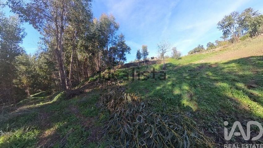 Moradia T2 à venda em Pedrógão Pequeno, Sertã — foto 24
