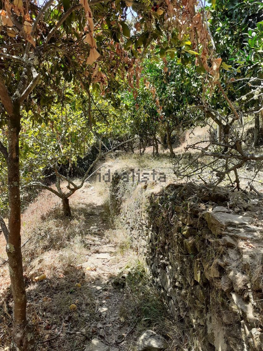 Moradia T2 à venda em Belazaima do Chão, Águeda — foto 20