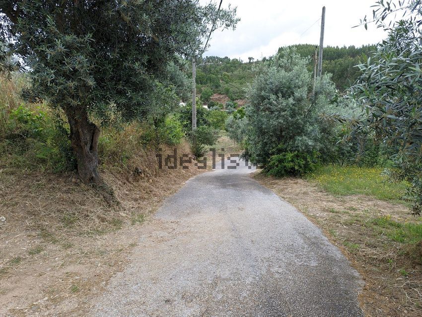 Moradia T0 à venda em Aldeia do Mato e Souto, Abrantes — foto 24