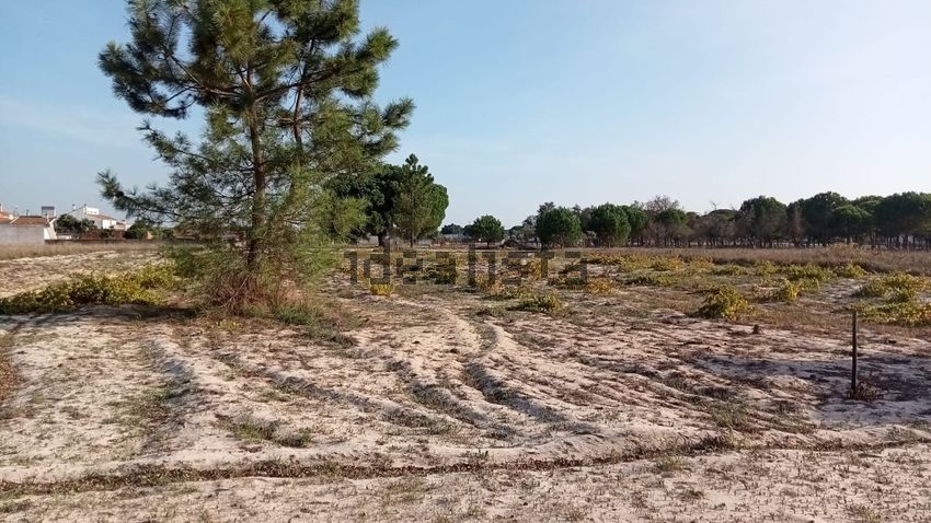 Moradia T4 à venda em Torrão, Alcácer do Sal — foto 9