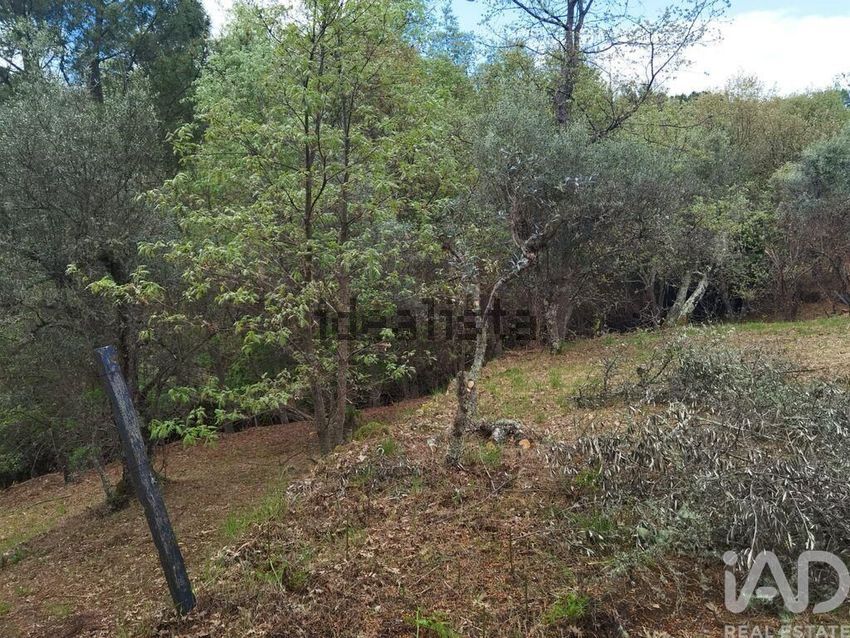 Moradia T2 à venda em Aldeias e Mangualde da Serra, Gouveia — foto 19