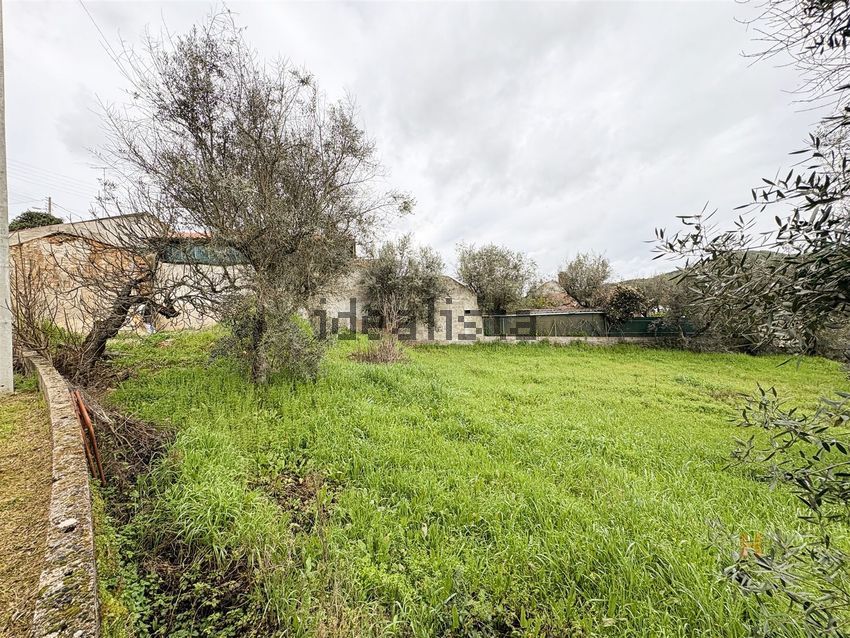 Moradia T1 à venda em Sarzedas, Castelo Branco — foto 14