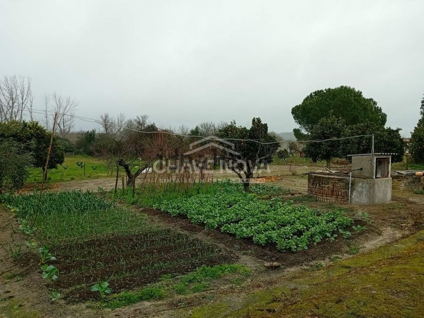 Moradia T4 à venda em Cabeção, Mora — foto 35