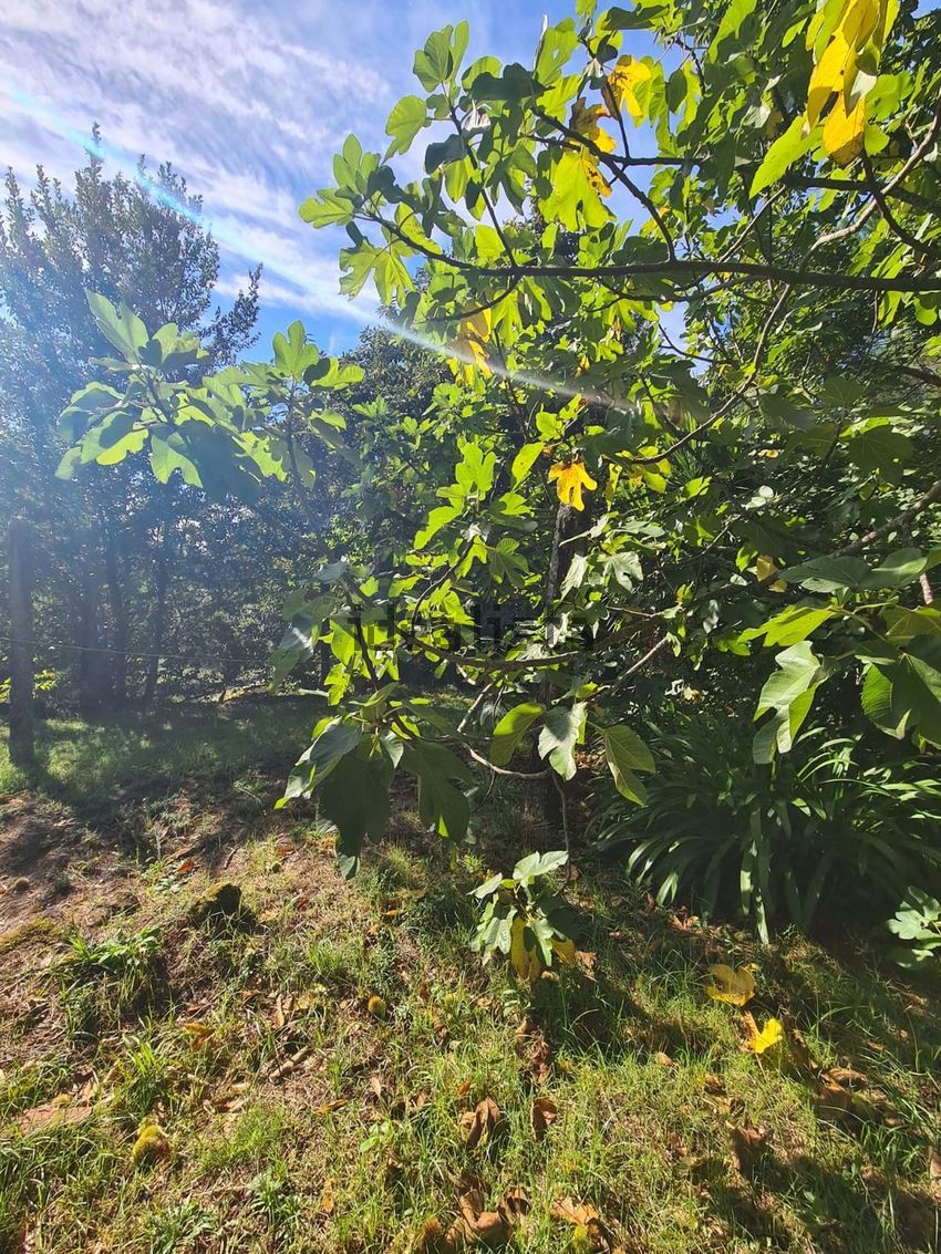 Moradia T0 à venda em Couto, Arcos de Valdevez — foto 22