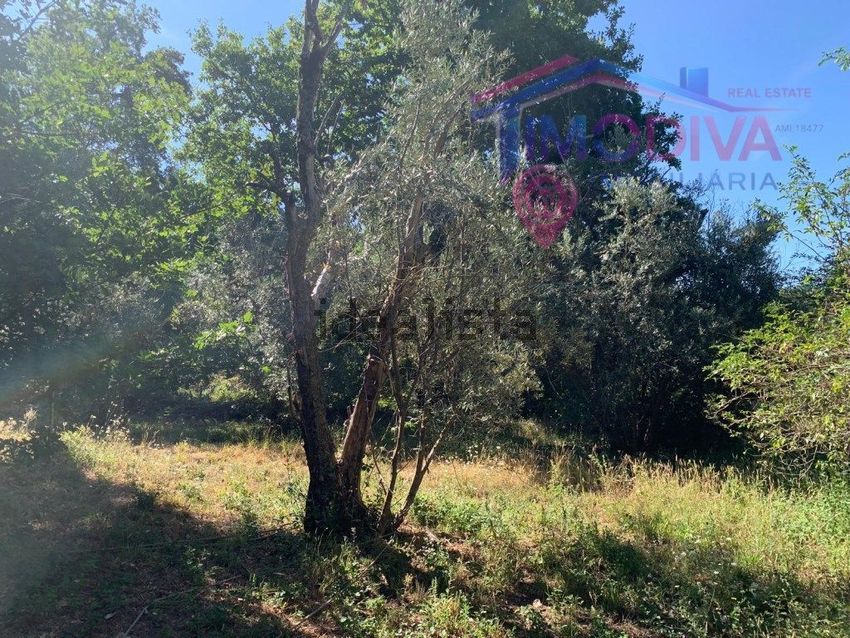 Moradia T1 à venda em Vila Facaia, Pedrógão Grande — foto 34