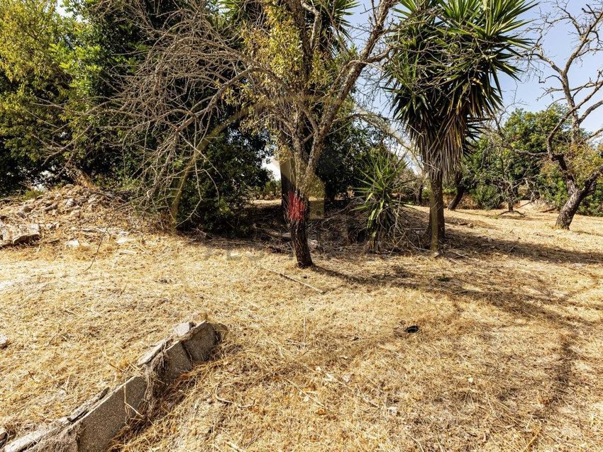 Moradia T2 à venda em São Bartolomeu de Messines, Silves — foto 31