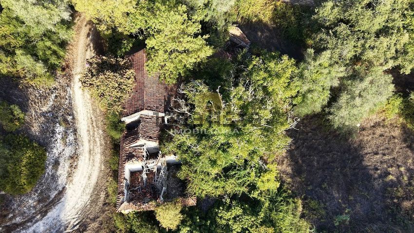 Moradia T4 à venda em Abitureiras, Santarém — foto 3
