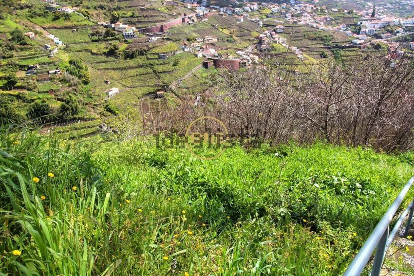 Moradia T2 à venda em Estreito de Câmara de Lobos, Câmara de Lobos — foto 3