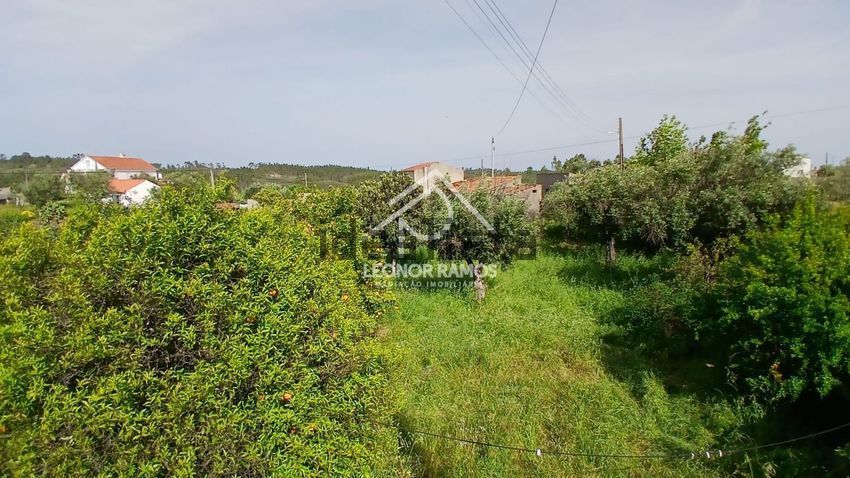 Moradia T4 à venda em Santo André das Tojeiras, Castelo Branco — foto 7