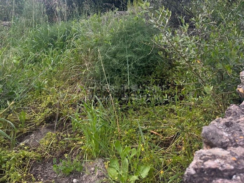 Moradia T0 à venda em Santiago do Cacém, Santa Cruz e São Bartolomeu da Serra, Santiago do Cacém — foto 12