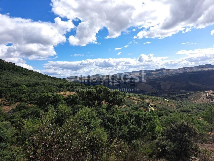 Moradia T2 à venda em Açoreira, Torre de Moncorvo — foto 11