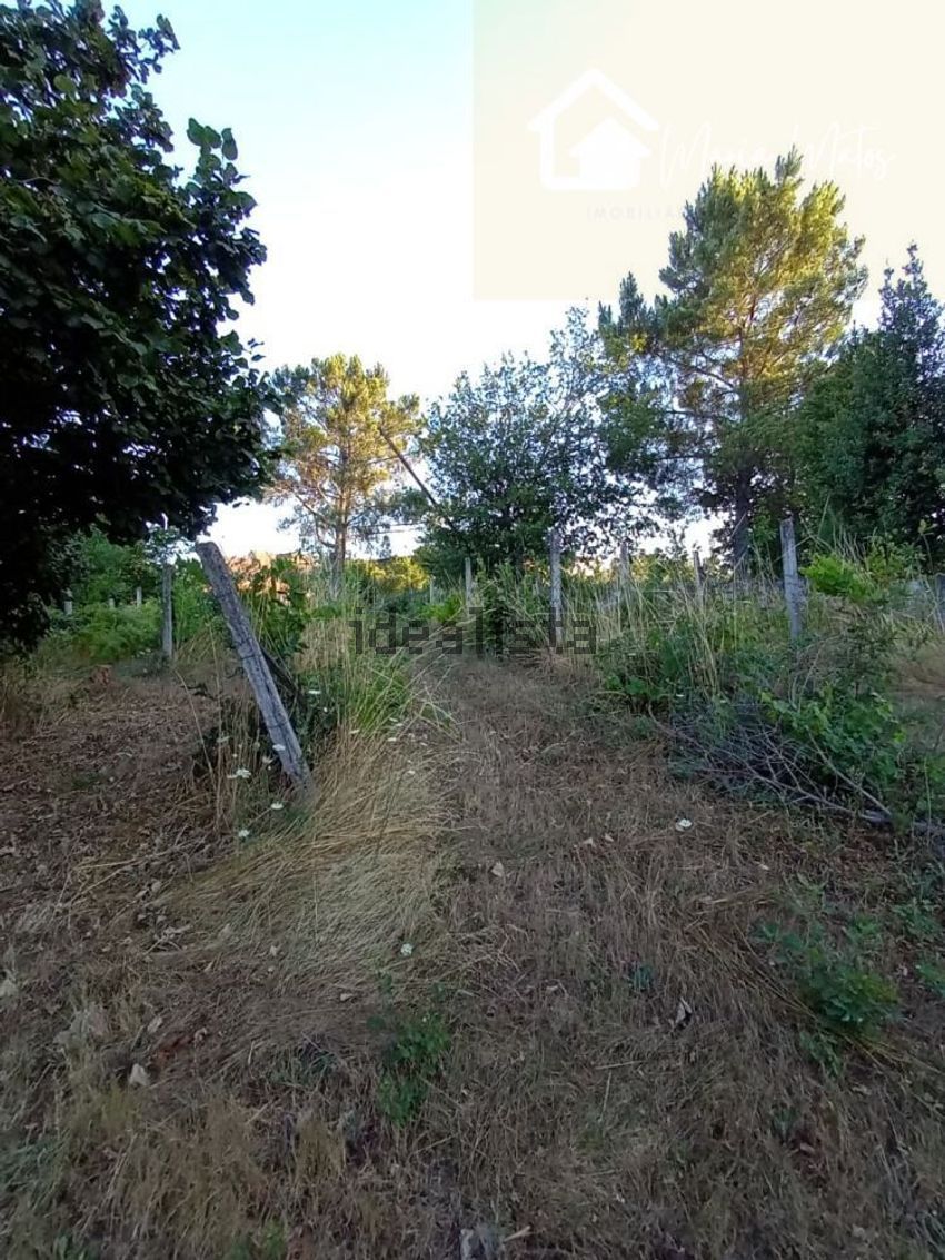 Moradia T3 à venda em Mangualde, Mesquitela e Cunha Alta, Mangualde — foto 25
