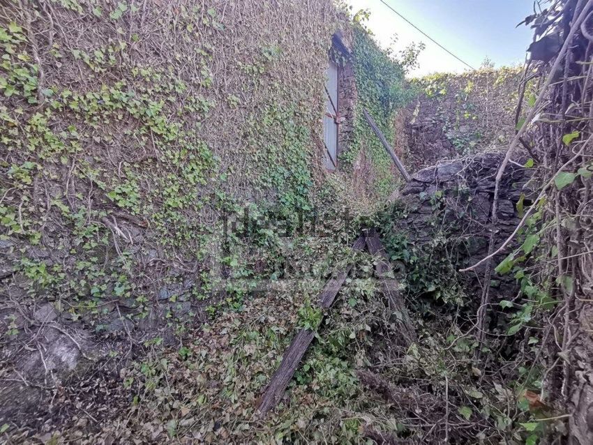 Moradia T1 à venda em Arega, Figueiró dos Vinhos — foto 10