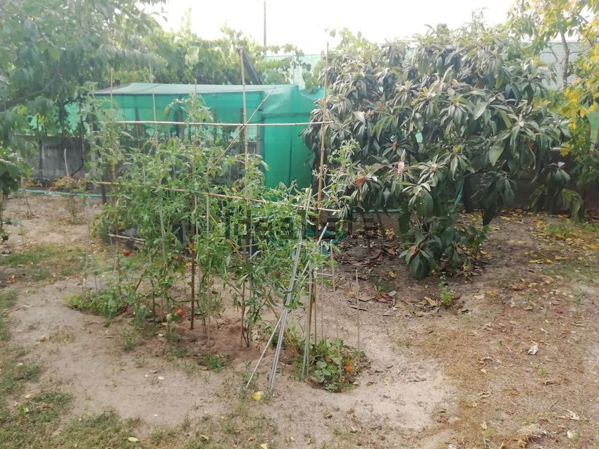 Moradia T4 à venda em Seixo de Gatões, Montemor-o-Velho — foto 7