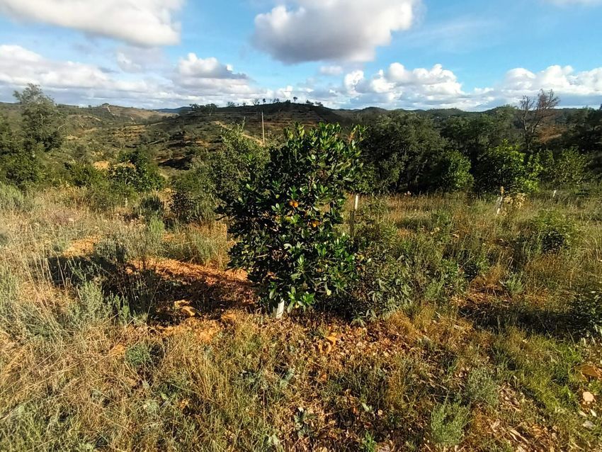 Moradia T1 à venda em São Marcos da Serra, Silves — foto 15