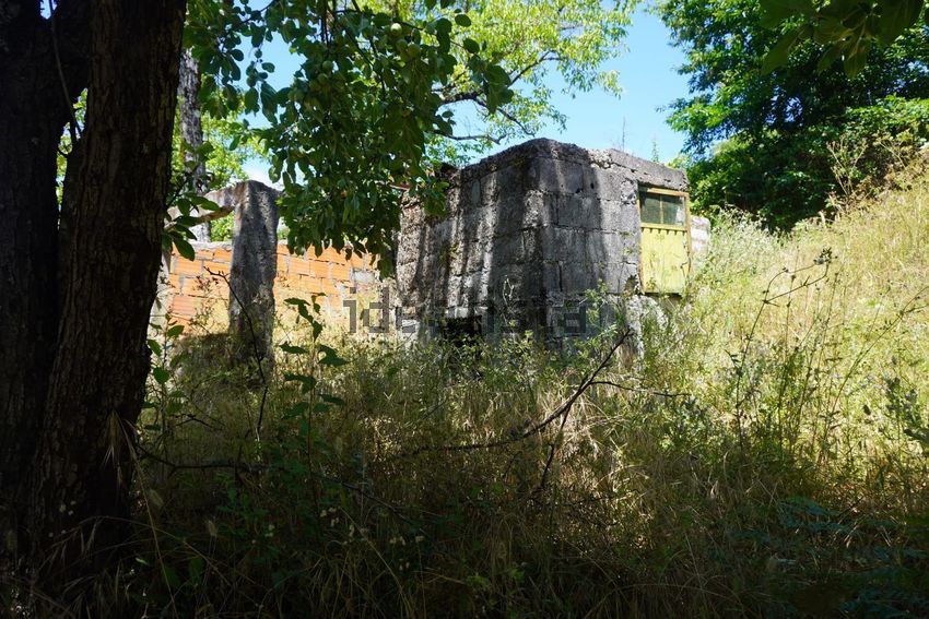 Moradia T3 à venda em São Gião, Oliveira do Hospital — foto 33