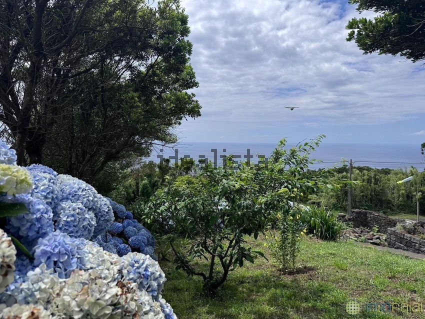 Moradia T4 à venda em Capelo, Horta — foto 9